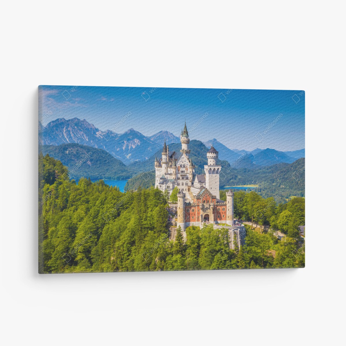 Leinwandbild schloss Neuschwanstein in alpiner landschaft – Wallnifity®