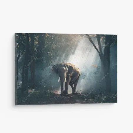 Leinwandbild majestätischer elefant im sonnenlichtdurchfluteten wald – Wallnifity®