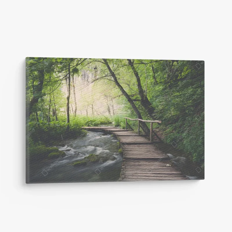 Wälder – Wallnifity®