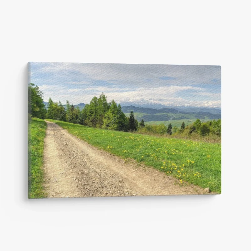 Leinwandbild Gorce frühlingspfad