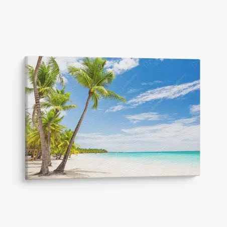Leinwandbild palmenstrand in Punta Cana – Wallnifity®