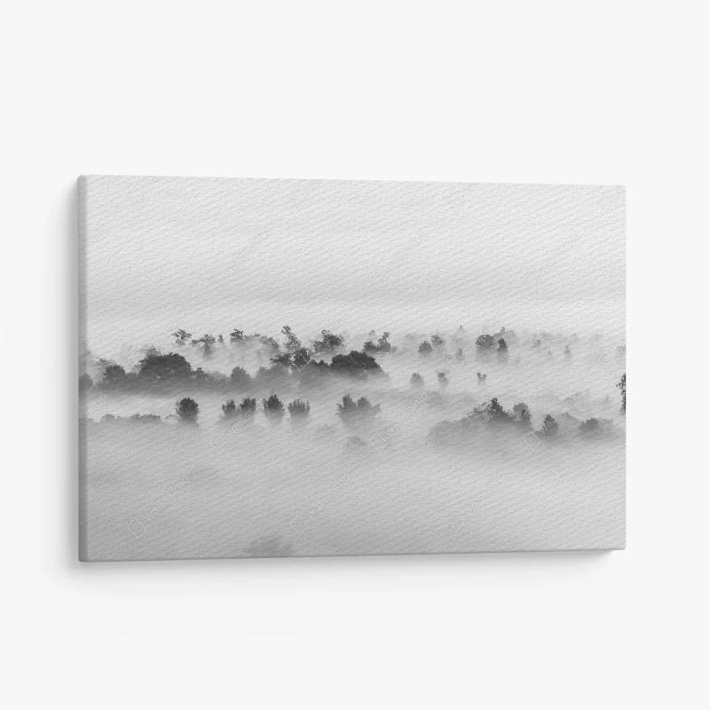 Wälder – Wallnifity®