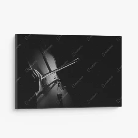 Leinwandbild elegantes cello in monochrom – Wallnifity®