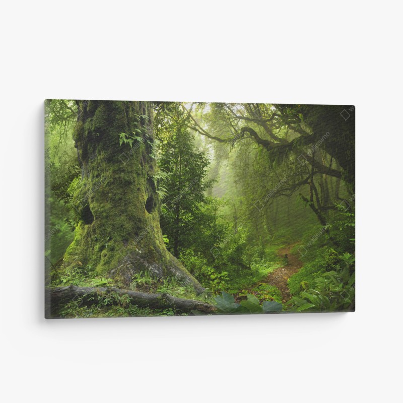 Natur – Wallnifity®