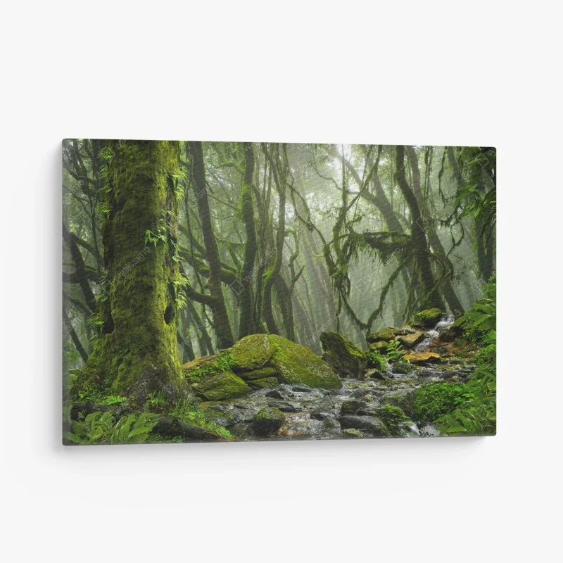 Wälder – Wallnifity®