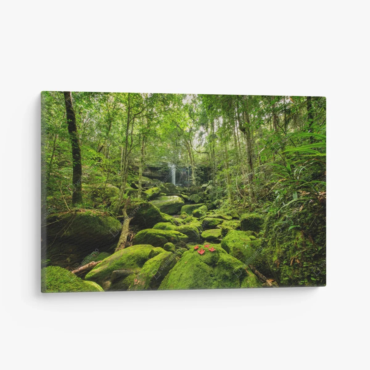 Leinwandbild üppiger moosbewachsener wasserfall im tropischen wald – Wallnifity® Leinwandbild üppiger moosbewachsener wasserfall im tropischen wald – Wallnifity®