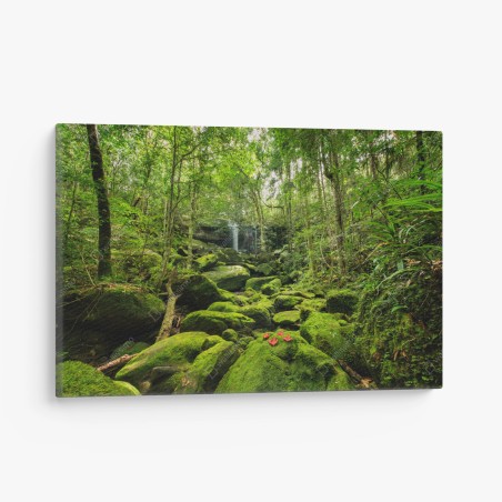 Leinwandbild üppiger moosbewachsener wasserfall im tropischen wald – Wallnifity®
