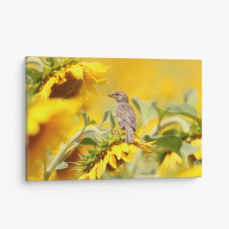 Leinwandbild spatz auf einer sonnenblume – Wallnifity®