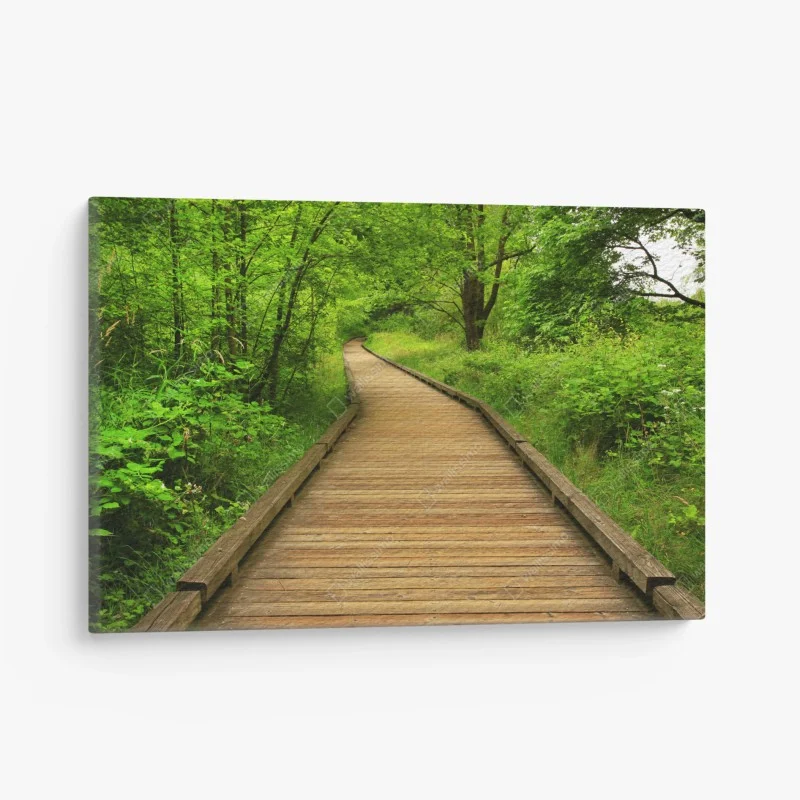 Leinwandbild ruhiger holzsteg im wald