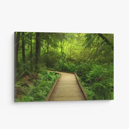 Leinwandbild ruhiger grüner waldsteg – Wallnifity®