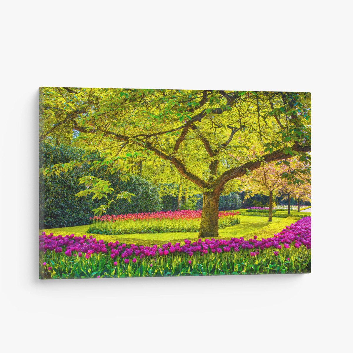 Leinwandbild bunter tulpengarten in Keukenhof – Wallnifity®
