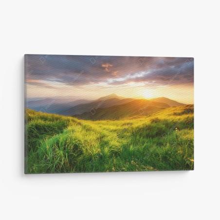 Leinwandbild sonnige bergwiese bei sonnenaufgang – Wallnifity®