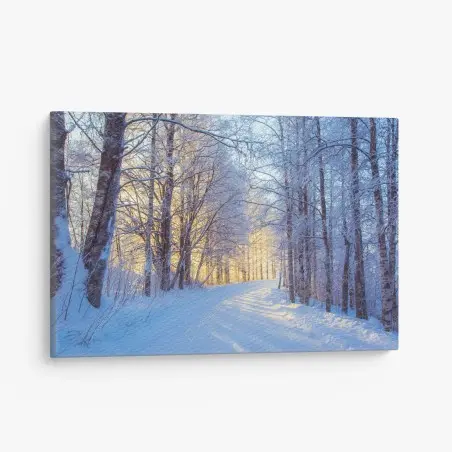 Leinwandbild birkenwald im winter bei sonnenaufgang – Wallnifity®