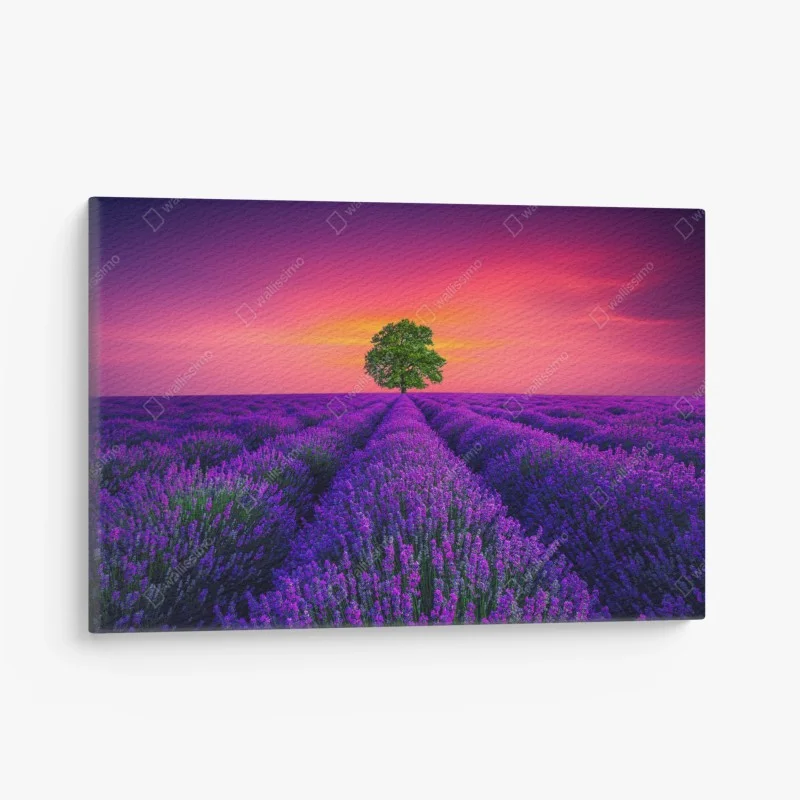 Wohnzimmer – Wallnifity®