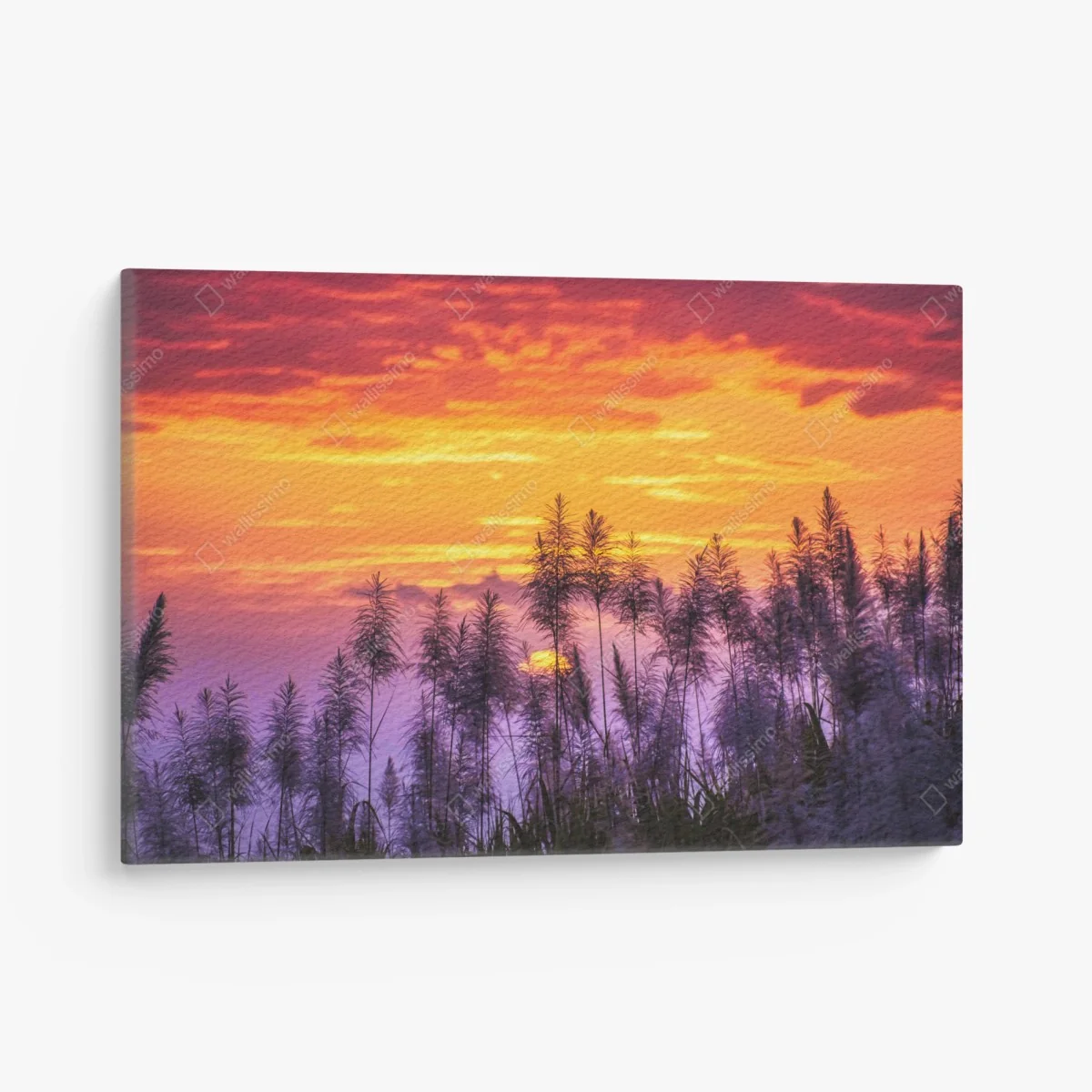 Leinwandbild goldener sonnenuntergang über wildgräsern – Wallnifity® Leinwandbild goldener sonnenuntergang über wildgräsern – Wallnifity®