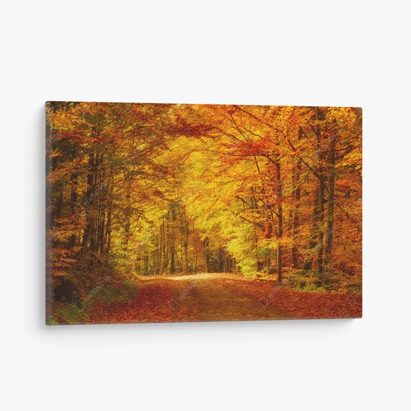 Wälder – Wallnifity®