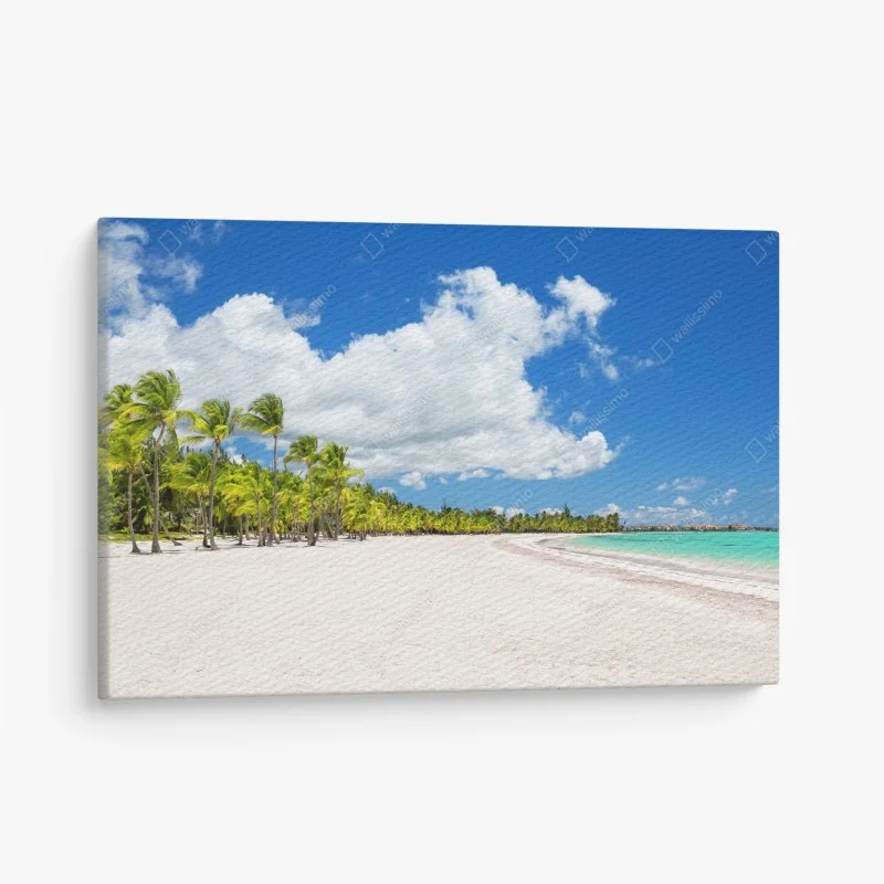 Leinwandbild tropischer strand in Punta Cana – Wallnifity®