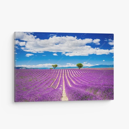 Leinwandbild lavendelfelder in Provence – Wallnifity®