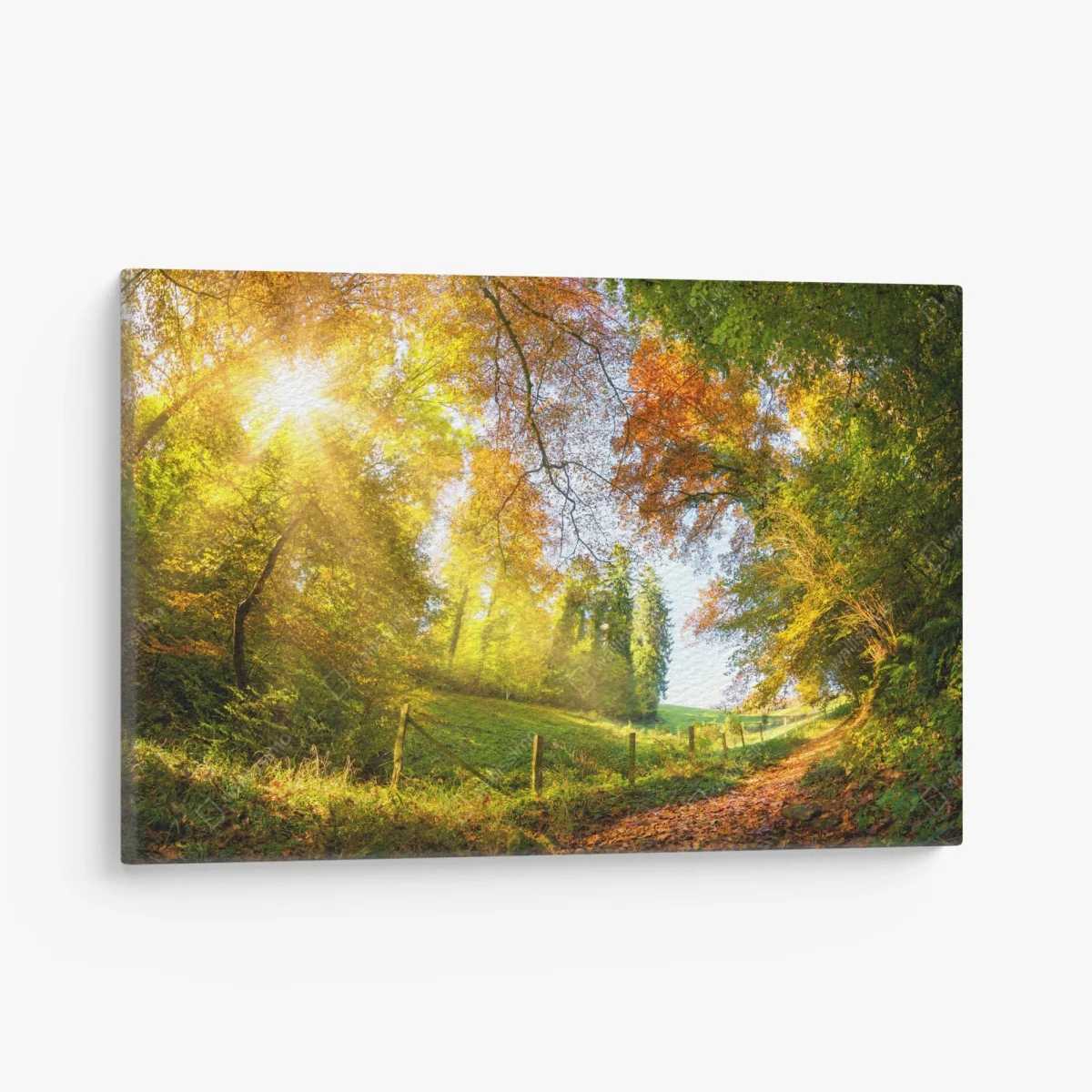 Leinwandbild goldener herbstwaldweg – Wallnifity® Leinwandbild goldener herbstwaldweg – Wallnifity®