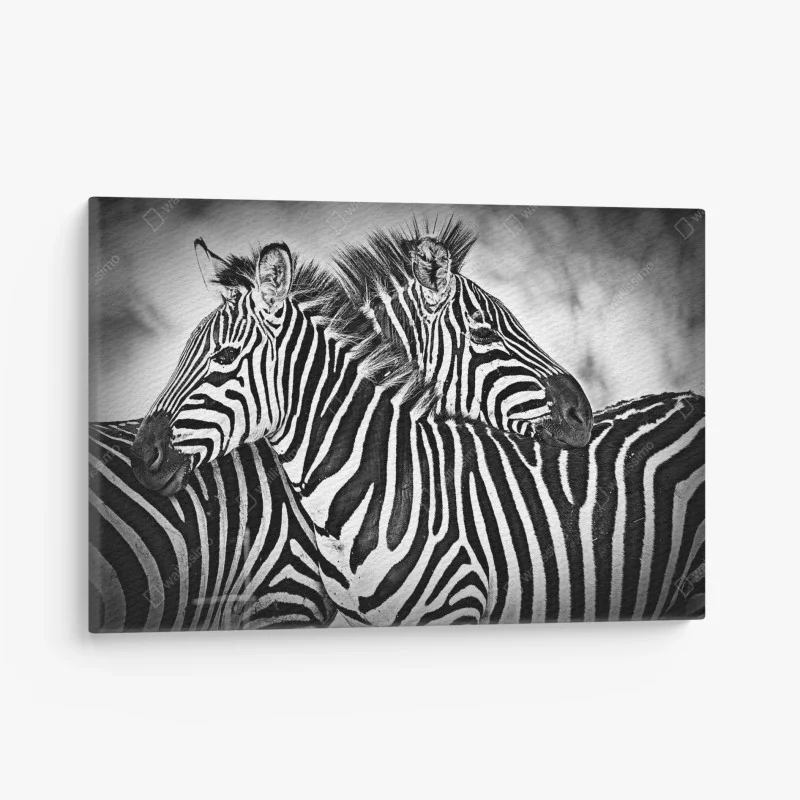 Tiere – Wallnifity®