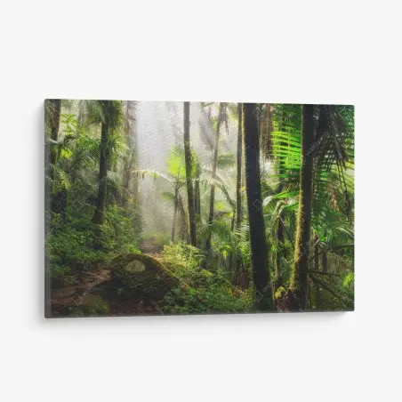 Leinwandbild tropischer regenwald mit sonnenstrahlen – Wallnifity®