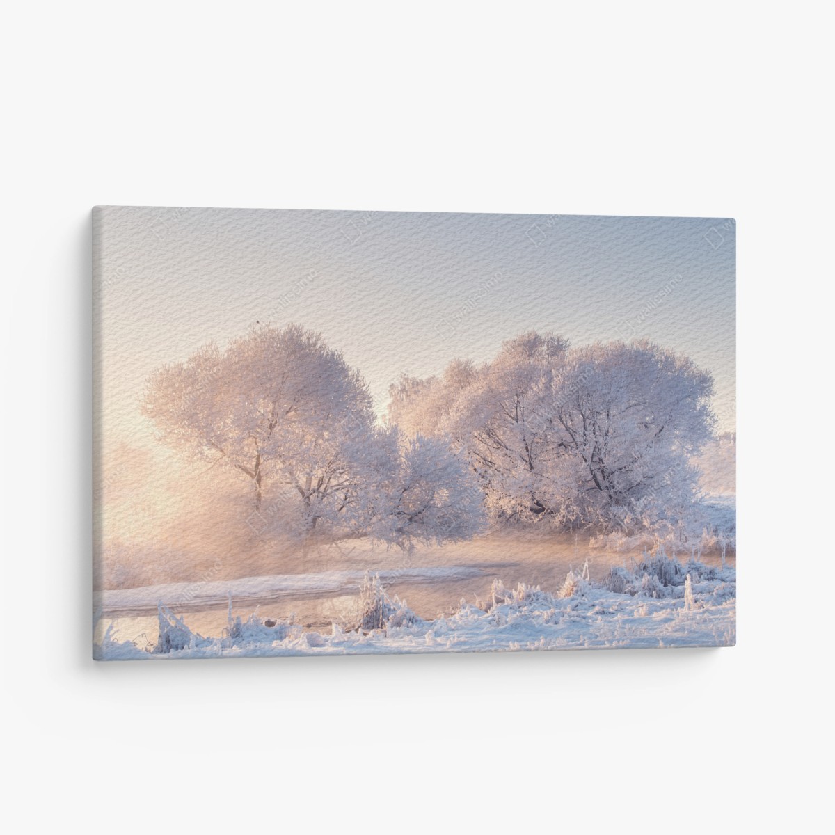 Leinwandbild raureifbedeckte bäume bei sonnenaufgang – Wallnifity®