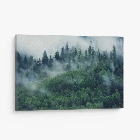 Leinwandbild nebliger grüner wald – Wallnifity®