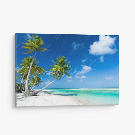 Leinwandbild tropischer strand mit palmen und türkisfarbenem wasser – Wallnifity®