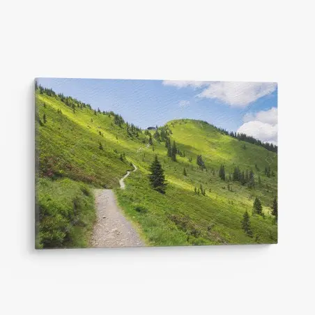Leinwandbild sonniger bergpfad durch grüne wiese – Wallnifity®