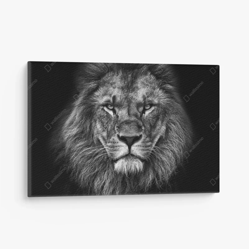 Tiere – Wallnifity®