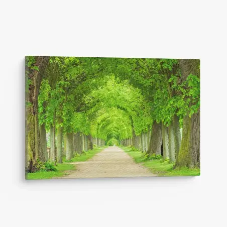 Leinwandbild grüner baumtunnel – Wallnifity®