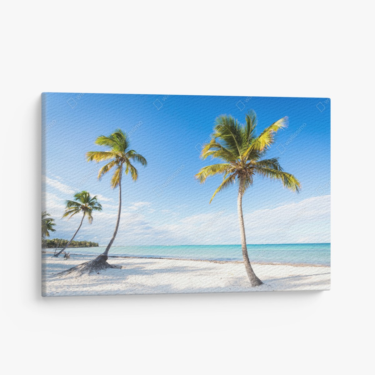 Leinwandbild tropischer palmenstrand – Wallnifity®