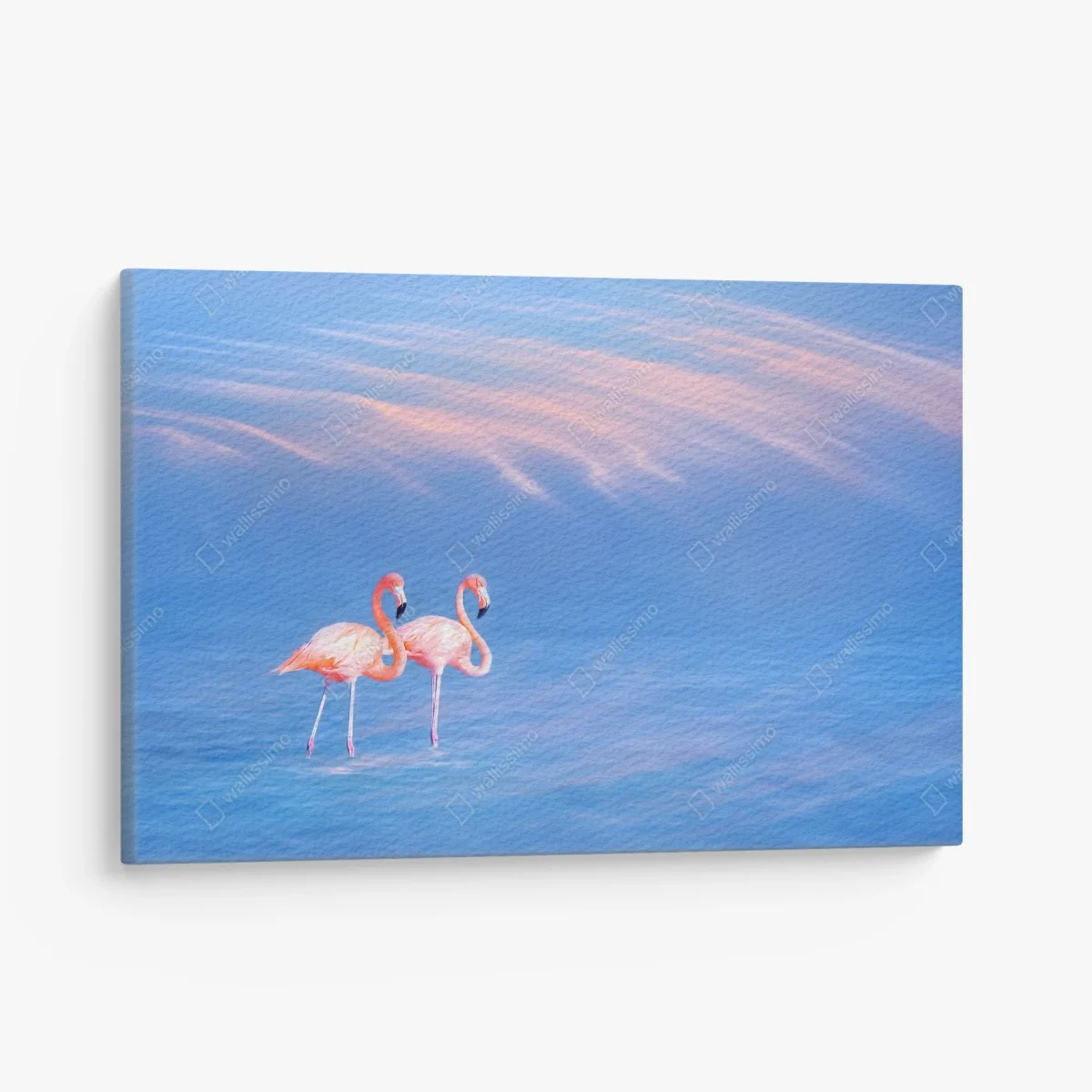 Leinwandbild rosa flamingos auf pastellfarbenem wasser – Wallnifity® Leinwandbild rosa flamingos auf pastellfarbenem wasser – Wallnifity®