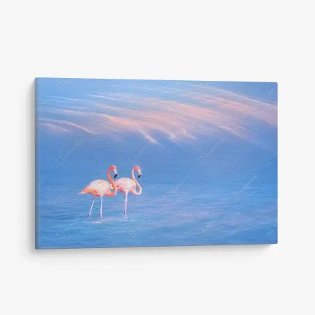 Leinwandbild rosa flamingos auf pastellfarbenem wasser – Wallnifity®