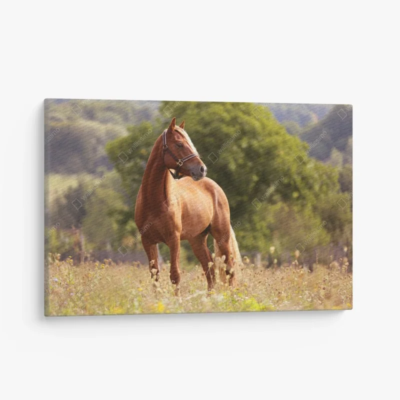 Tiere – Wallnifity®