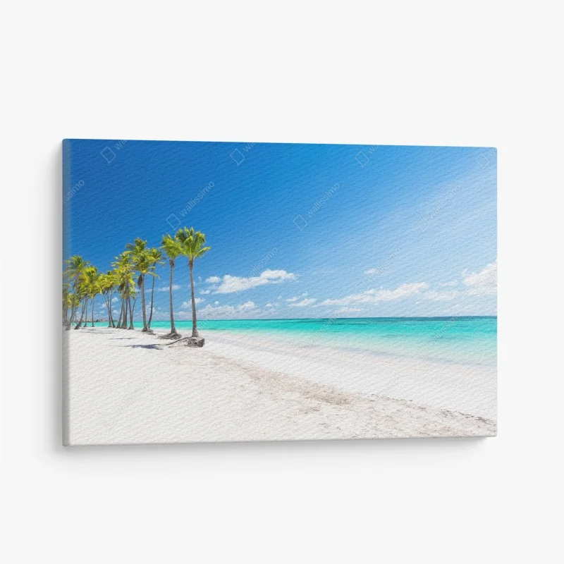 Leinwandbild palmen am strand von Punta Cana