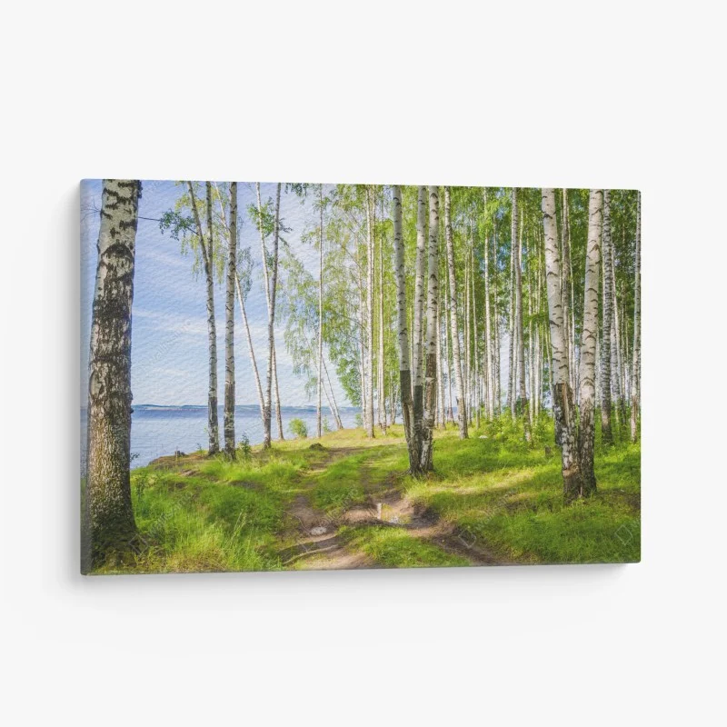 Wälder – Wallnifity®