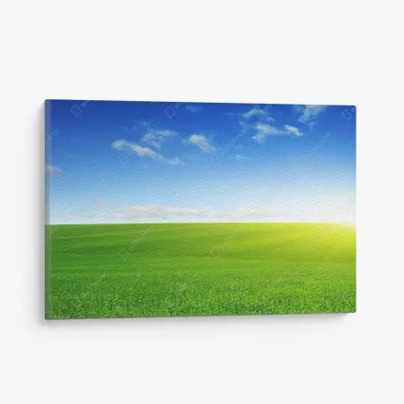Leinwandbild sonnenbeschienene grüne wiese im morgenlicht – Wallnifity®