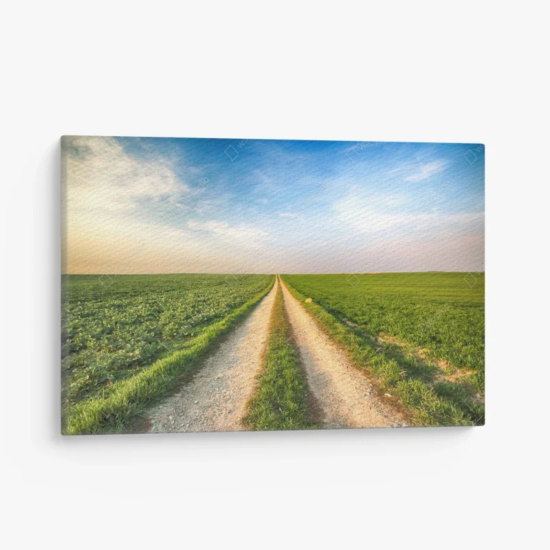 Leinwandbild feldweg durch grüne felder