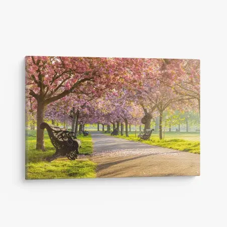 Leinwandbild kirschblütenallee im frühling – Wallnifity®