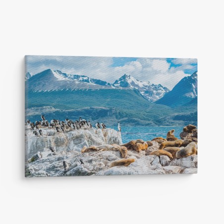 Leinwandbild seelöwen und seevögel an der felsküste – Wallnifity®