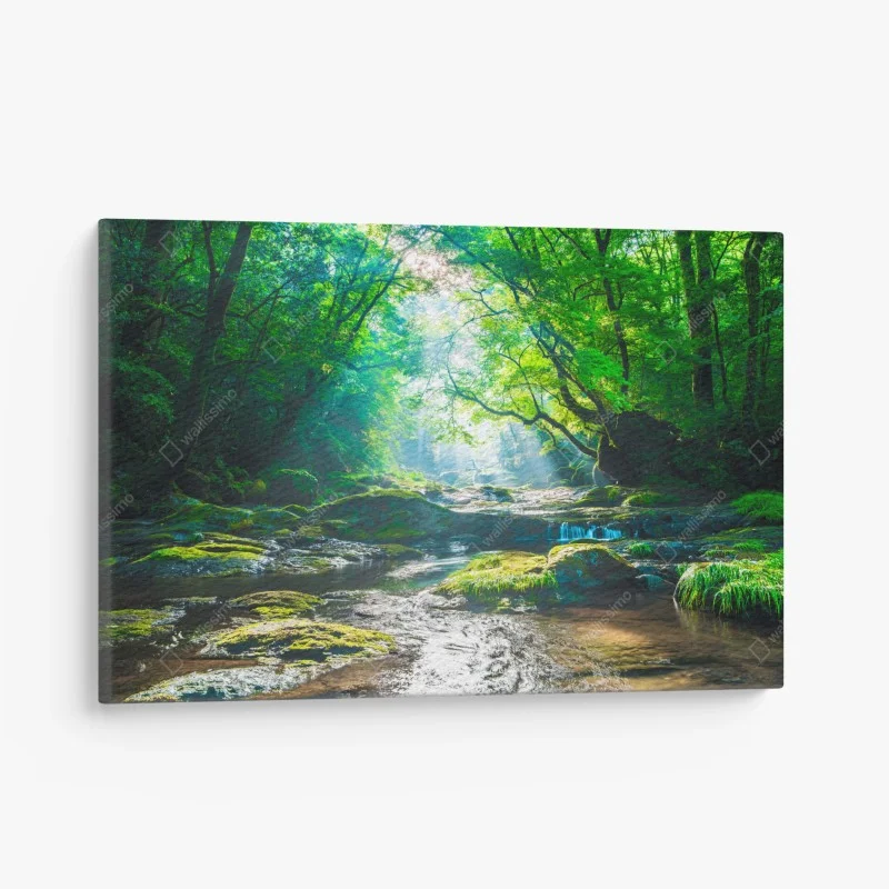 Leinwandbild sonnendurchfluteter waldbach mit moosbedeckten steinen – Wallnifity® Leinwandbild sonnendurchfluteter waldbach mit moosbedeckten steinen – Wallnifity®