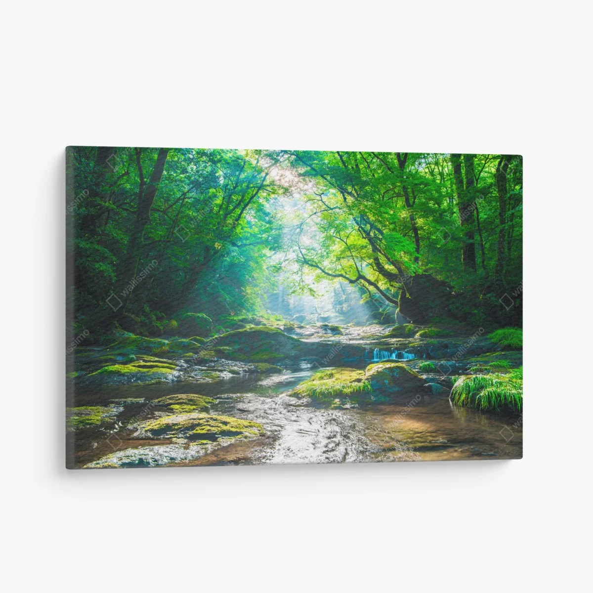 Leinwandbild sonnendurchfluteter waldbach mit moosbedeckten steinen – Wallnifity® Leinwandbild sonnendurchfluteter waldbach mit moosbedeckten steinen – Wallnifity®