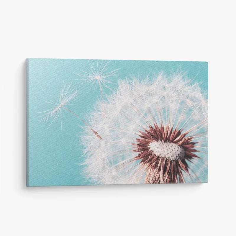 Skandinavisch – Wallnifity®