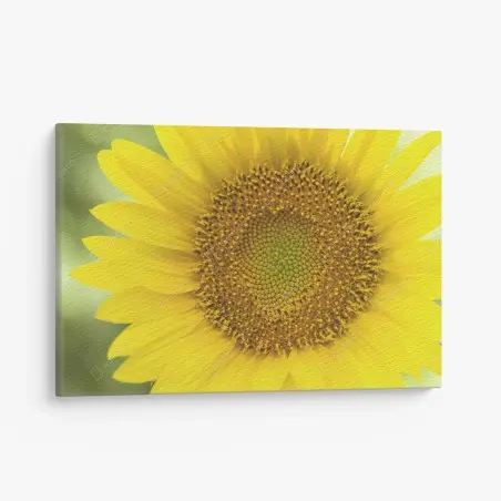 Leinwandbild leuchtende nahaufnahme sonnenblume – Wallnifity®