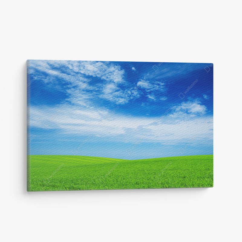Natur – Wallnifity®