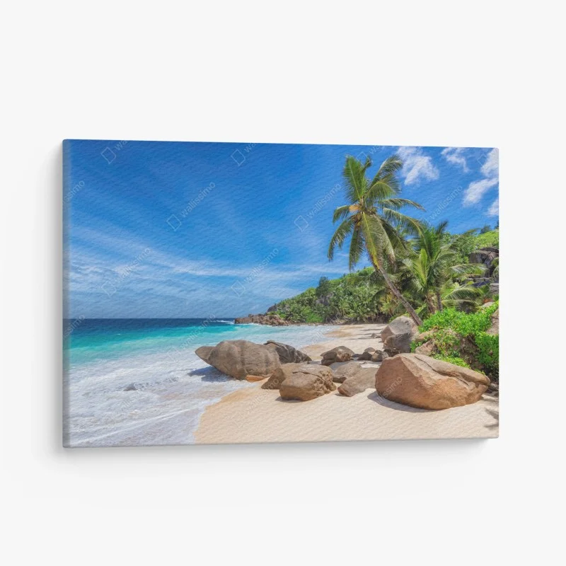 Leinwandbild tropischer palmenstrand