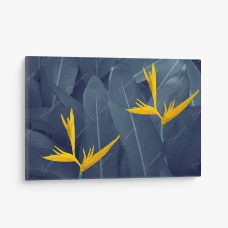 Leinwandbild gelbe strelitzie auf blauen blättern – Wallnifity®