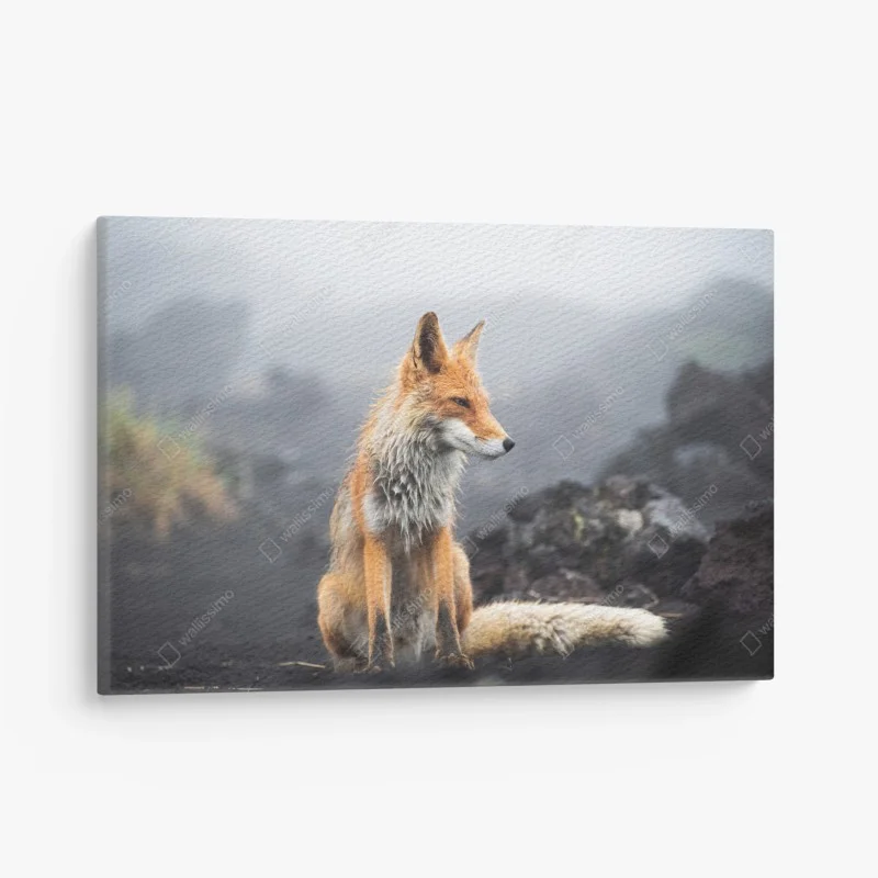 Tiere – Wallnifity®