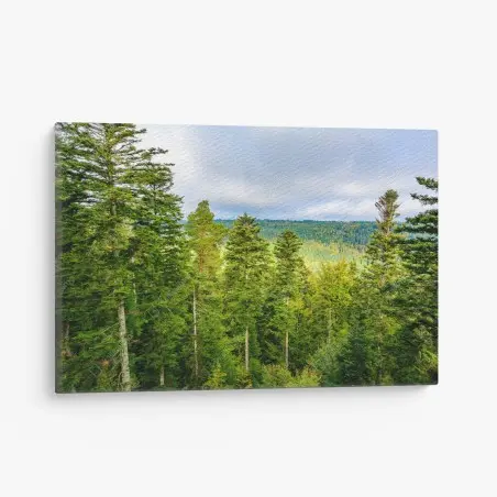 Leinwandbild Schwarzwald herbstliche waldlandschaft – Wallnifity®